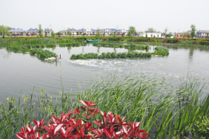 haL88UB0l5307080.jpg